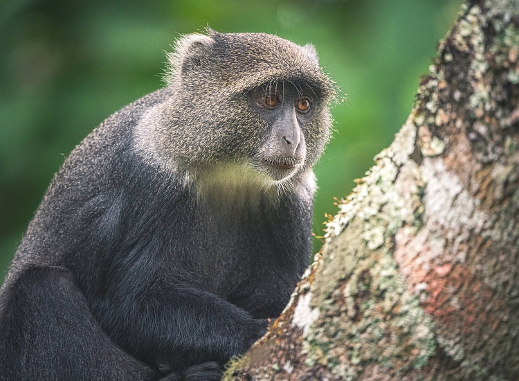 Tarangire National Park