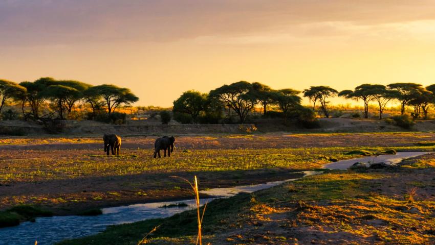 Ruaha National Park